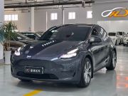 特斯拉 Model Y 2021款 标准续航后驱版