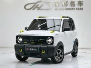 吉利汽车 吉利熊猫 2025款 210Km  骑士